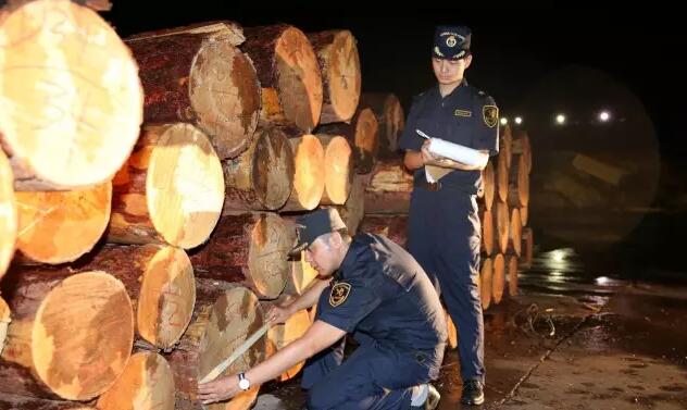 湖州海关为湖州家具行业进口木材原料提供高效服务